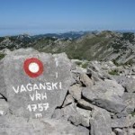 imagesCALYB71O