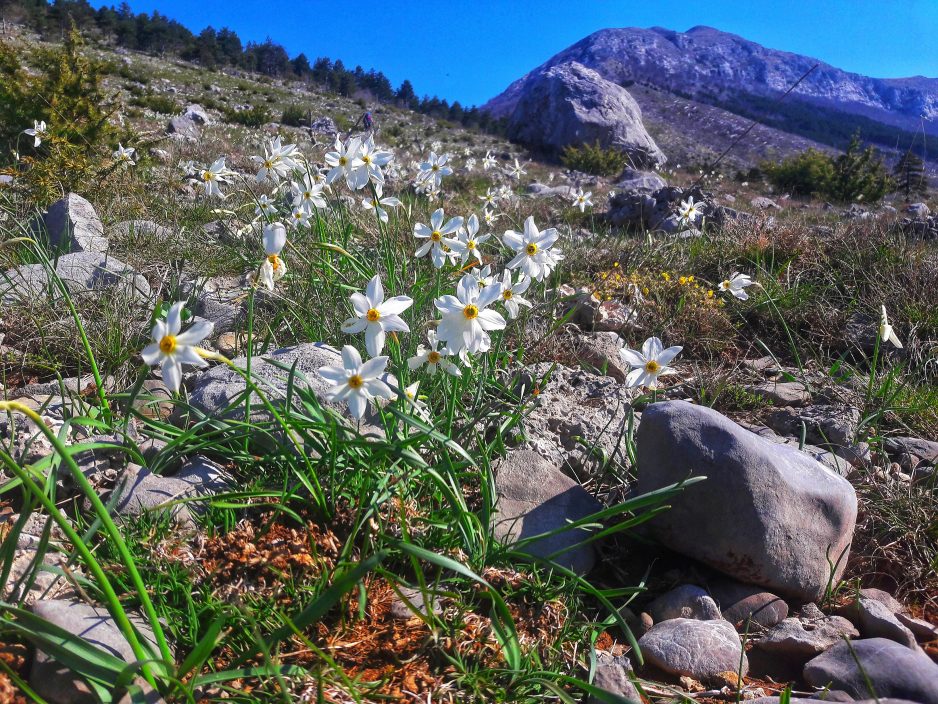 Izlet na Klek (1181 m) i Klečice (1062 m) u subotu 15.05.2021.
